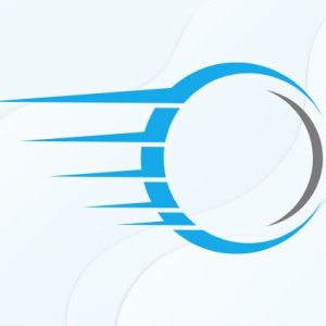 Custom Logo Creation (Business)